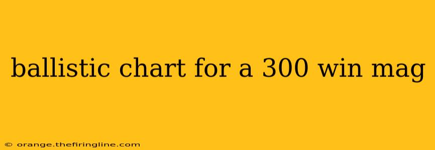 ballistic chart for a 300 win mag