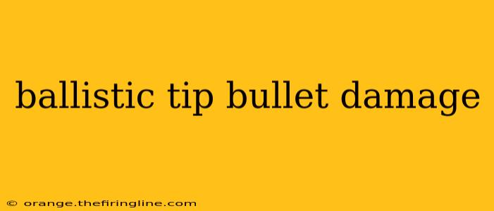 ballistic tip bullet damage