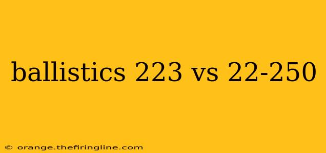 ballistics 223 vs 22-250