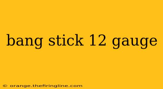 bang stick 12 gauge