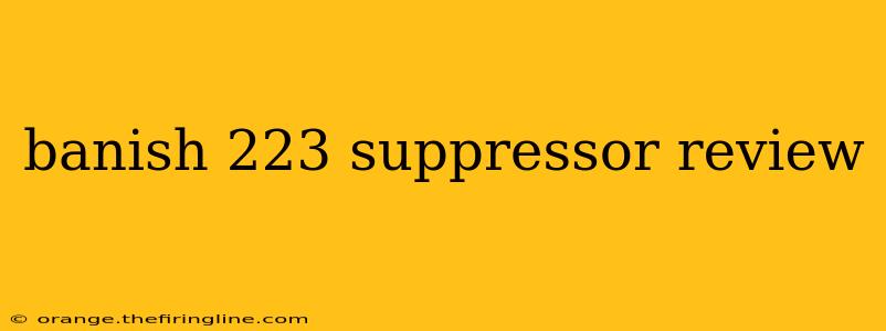 banish 223 suppressor review