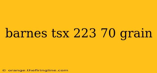 barnes tsx 223 70 grain