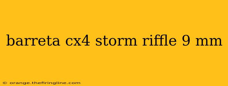 barreta cx4 storm riffle 9 mm