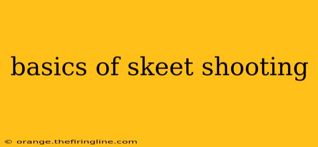 basics of skeet shooting