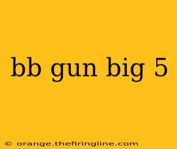 bb gun big 5