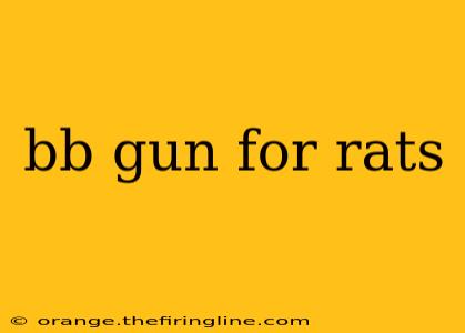 bb gun for rats