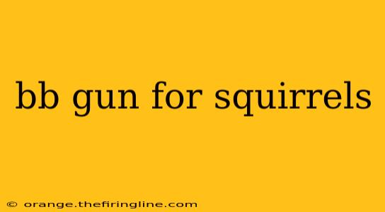 bb gun for squirrels