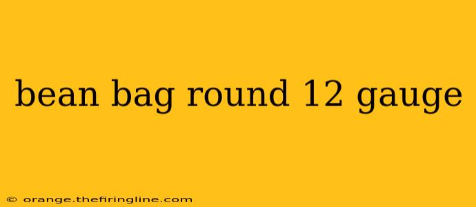 bean bag round 12 gauge