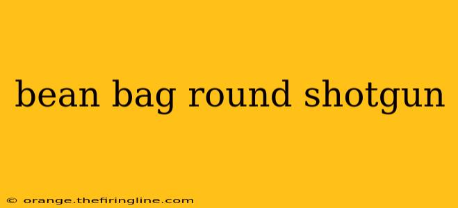 bean bag round shotgun