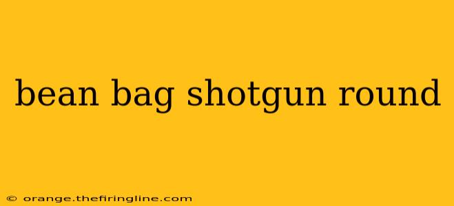 bean bag shotgun round