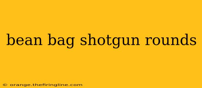 bean bag shotgun rounds