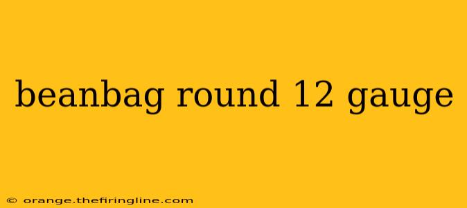 beanbag round 12 gauge