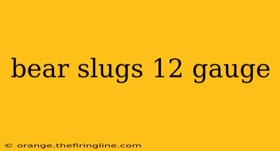 bear slugs 12 gauge