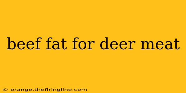 beef fat for deer meat