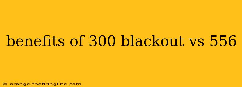 benefits of 300 blackout vs 556