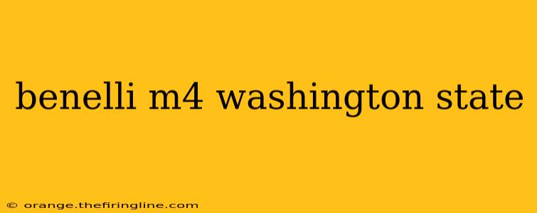 benelli m4 washington state