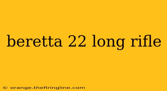 beretta 22 long rifle