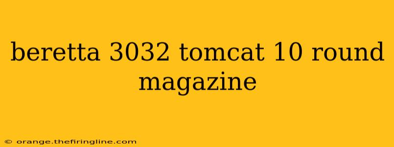 beretta 3032 tomcat 10 round magazine