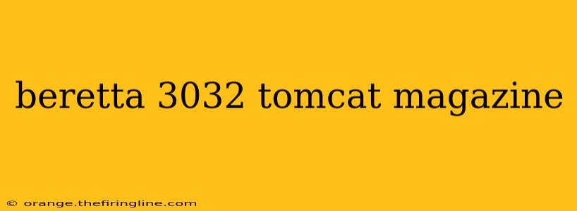 beretta 3032 tomcat magazine