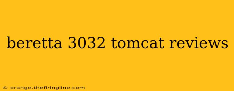 beretta 3032 tomcat reviews