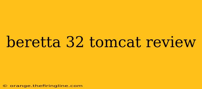 beretta 32 tomcat review