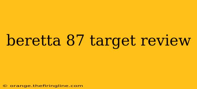 beretta 87 target review