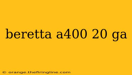 beretta a400 20 ga