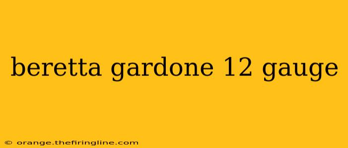 beretta gardone 12 gauge