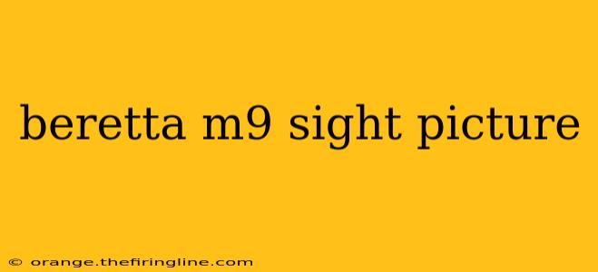 beretta m9 sight picture