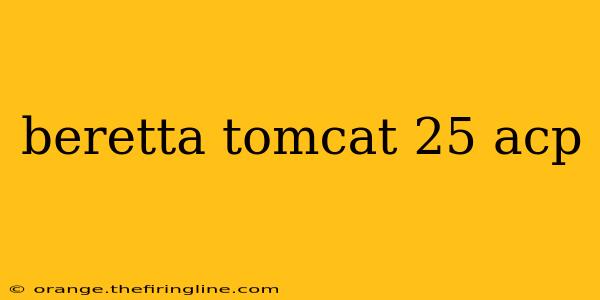 beretta tomcat 25 acp