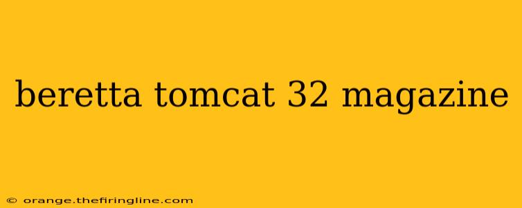 beretta tomcat 32 magazine