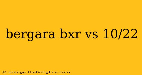 bergara bxr vs 10/22