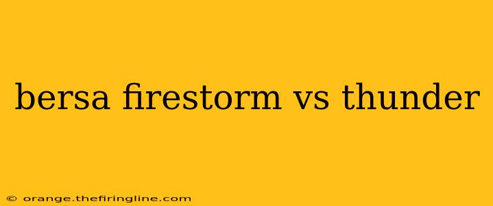 bersa firestorm vs thunder