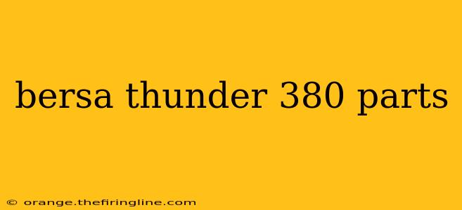 bersa thunder 380 parts