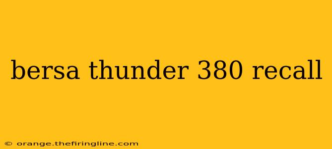 bersa thunder 380 recall