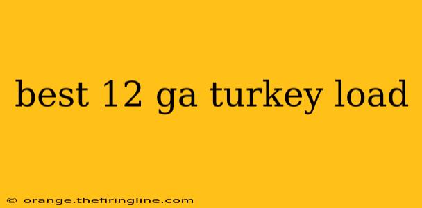 best 12 ga turkey load