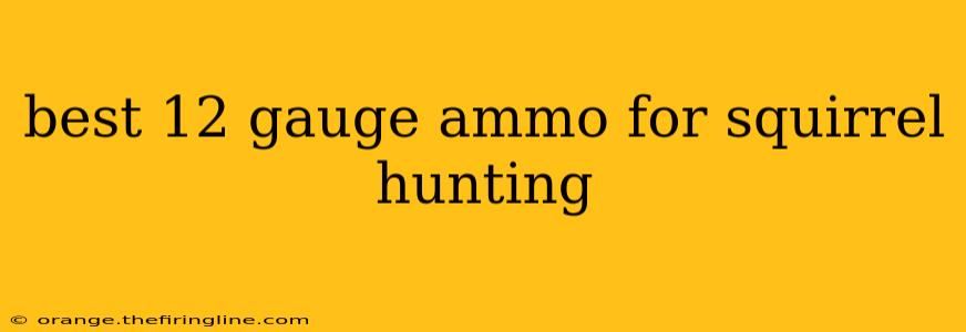 best 12 gauge ammo for squirrel hunting