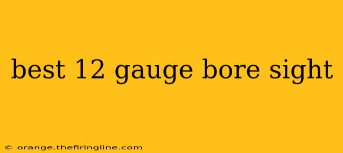 best 12 gauge bore sight