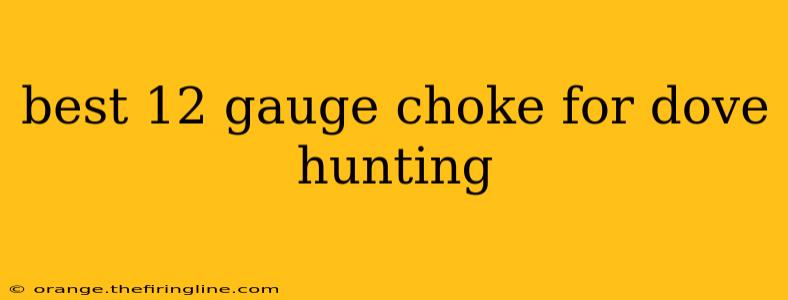 best 12 gauge choke for dove hunting