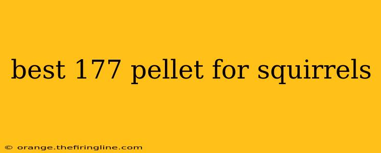 best 177 pellet for squirrels