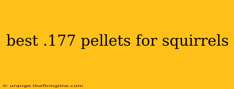 best .177 pellets for squirrels