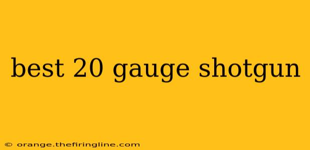 best 20 gauge shotgun