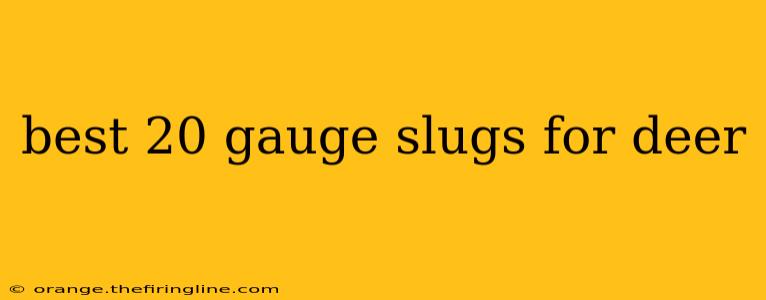 best 20 gauge slugs for deer