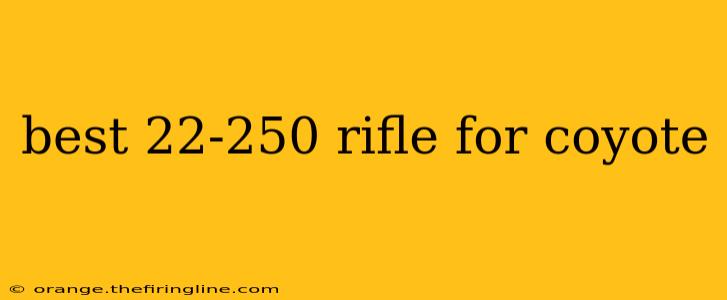 best 22-250 rifle for coyote