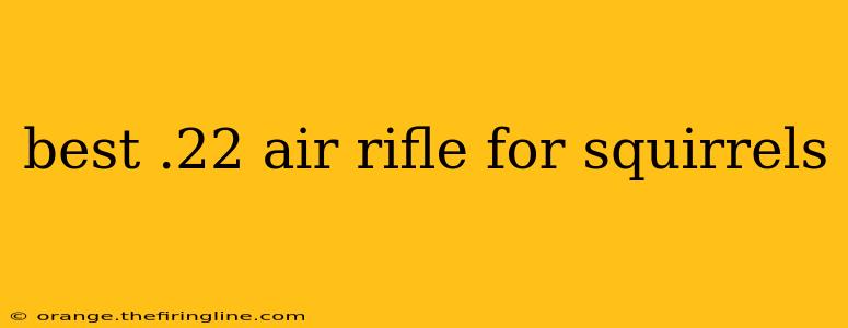 best .22 air rifle for squirrels