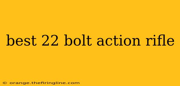 best 22 bolt action rifle