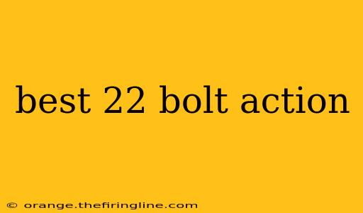 best 22 bolt action