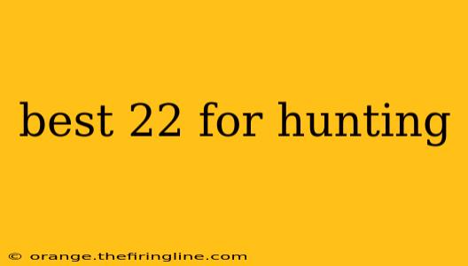 best 22 for hunting