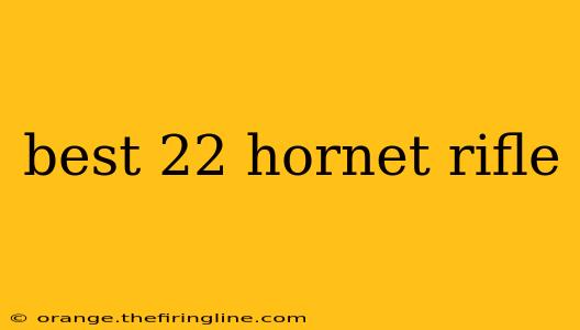 best 22 hornet rifle