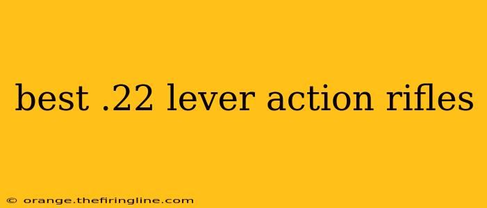 best .22 lever action rifles